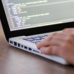 Веб-разработка для начинающих — спокойный старт в программировании